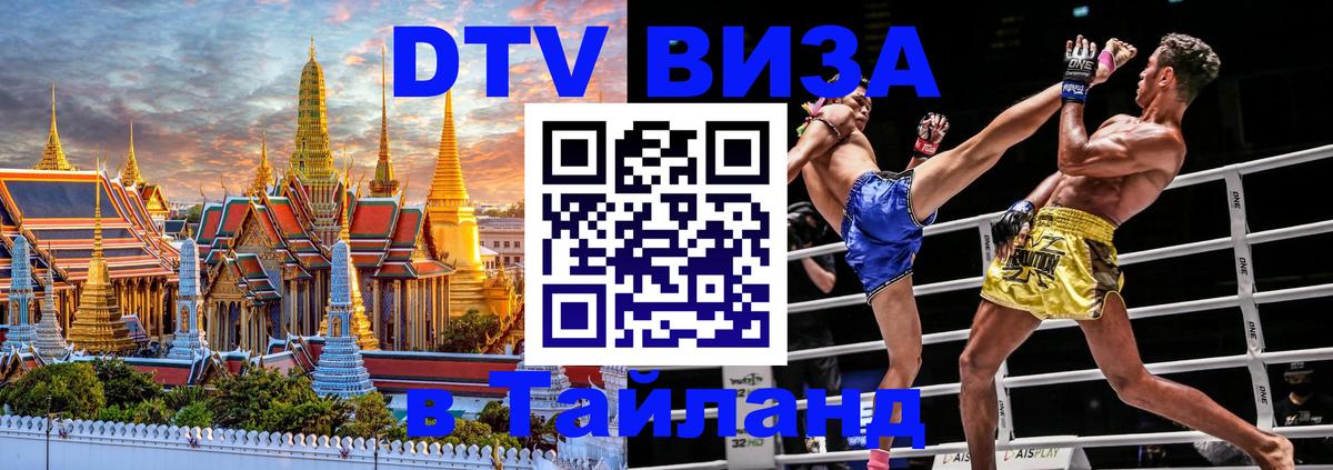 Оформление DTV визы под ключ: стоимость и тарифы, только загранпаспорт - 